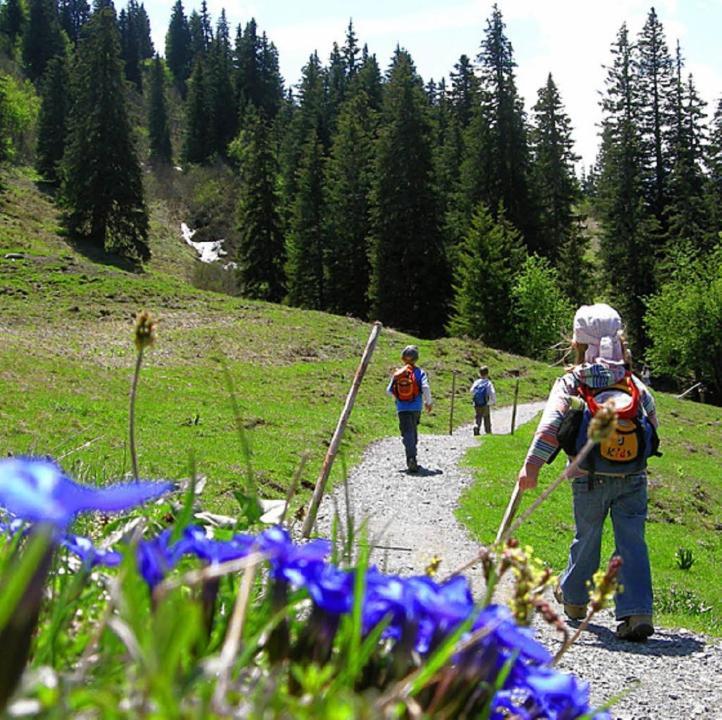 Diese Einfache Unterkunft- Bergheimat Ist Nur Fuer Backpacker- Rucksacktouristen Und Radfahrer - Huettenfeeling Im Backpackerhoues- Ganz Einfach - Ganz Unkompliziert - Ganz Relaxd Linthal Exterior foto